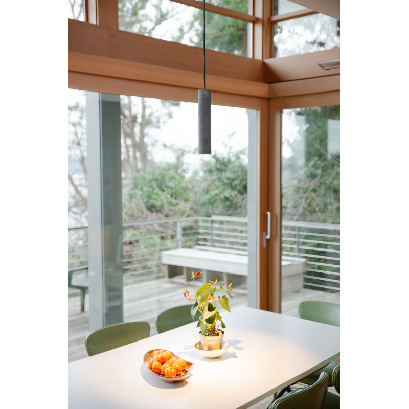 Roest Industrial Steel Pipe Pendant Light, 12" H x 2.5" W x 2.5" D, Carbon