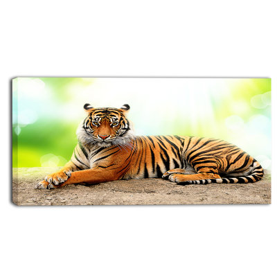 « relax tiger », reproduction de photo sur toile tendue encadrée