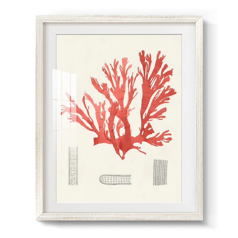 Toile tendue avec toile de galerie, H 19,5 po x l 16,5 po, Blanc