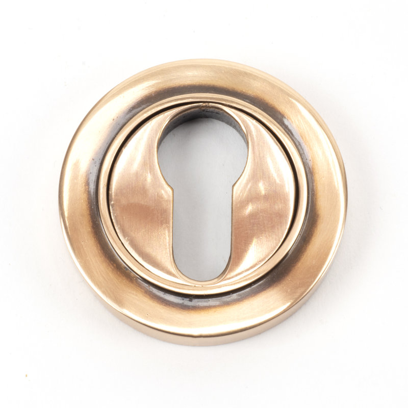 Escutcheon Door Accessory, Polished Bronze