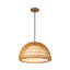 Luminaire suspendu moderne 1 lumière 16-en-1 Verbana-95320108