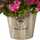 August Grove® Geranium Silk Flowering Plant in Farmhouse Planter UV ...