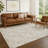 Machine Washable Indoor/Outdoor Chantille ACN2783 Global Rug-15730896-15730920