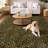 Premium Machine Washable Dream Shag Leopard Rug-1090108529-1090108536