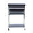 Durable Rolling Laptop Cart with Storage, Graphite Finish, and Locking Casters for Versatile Workspace Solutions