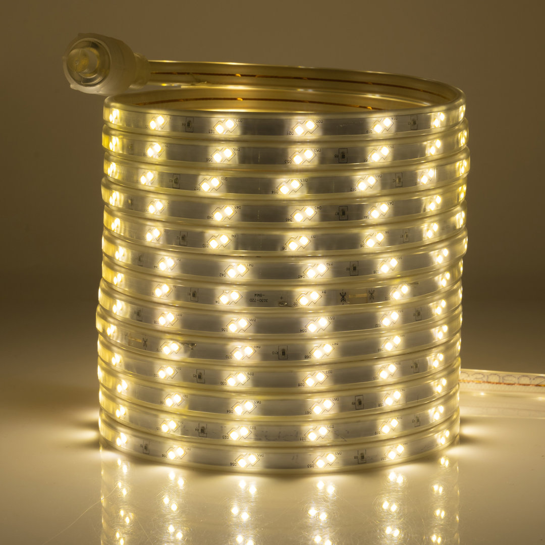Hedieh 1800'' LED Twinkle Rope Lights The Holiday Aisle®