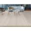 Area Rug in Gray