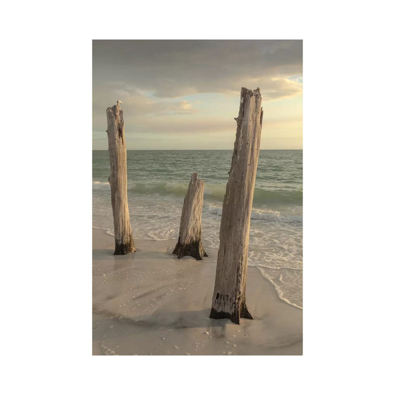 Lovers Key State Park, Florida by Maresa Pryor - Wrapped Canvas Gallery-Wrapped Canvas Giclée
