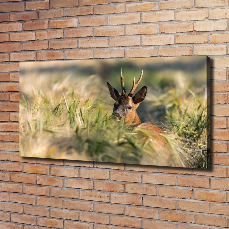 Deer In The Field - Wrapped Canvas Print