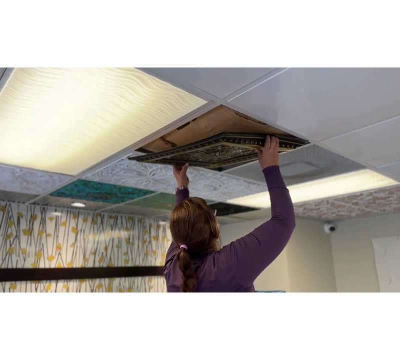 Natural Patina 24'' PVC Ceiling Tile with Ornate Design