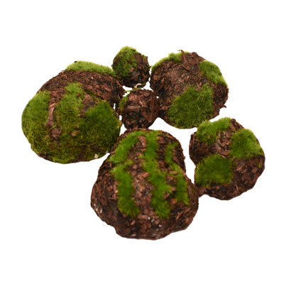 Mini décor de paysage de terrarium jardin féerique avec blocs de roches en mousse 6 pièces