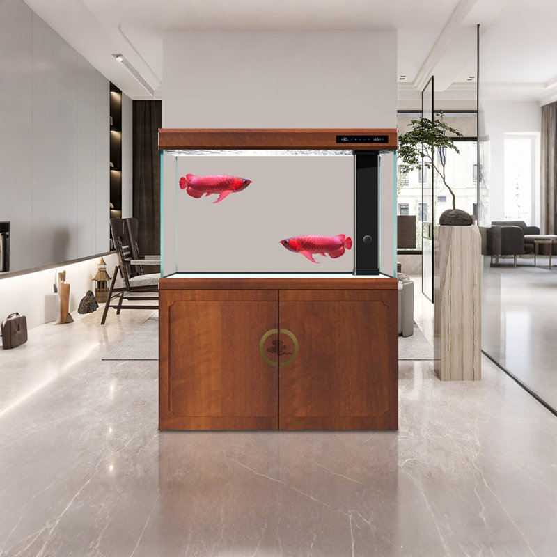 Aquarium ultra-transparent 23,62 po