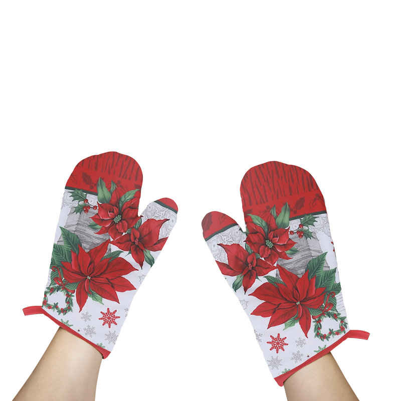 Ensemble de gants de cuisine en mélange de polyester IH Casadecor