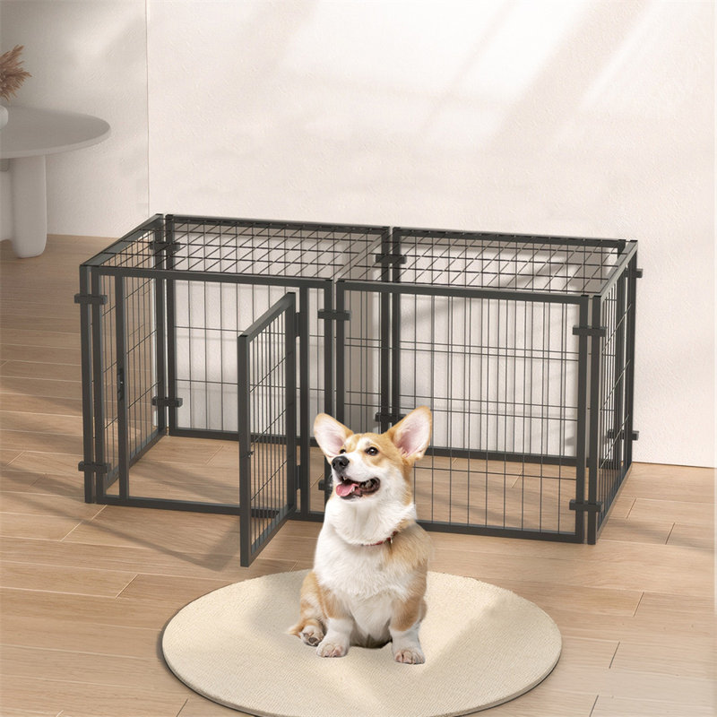 Chenil pour chien multi-usage