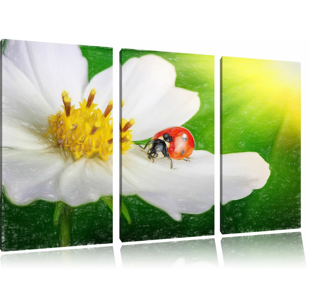 3-tlg. Leinwandbilder-Set „Marienkäfer auf einer weißen Blume“, Grafikdruck