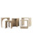 Coletta Solid Mango Wood Nesting Tables