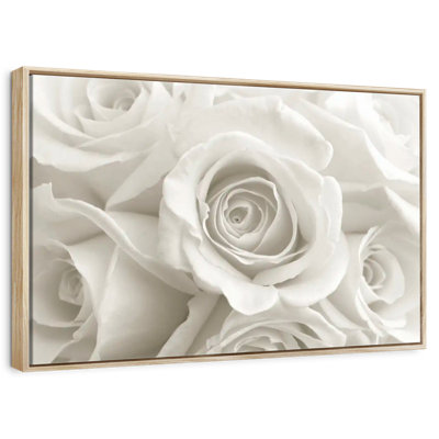 Roses blanches pures