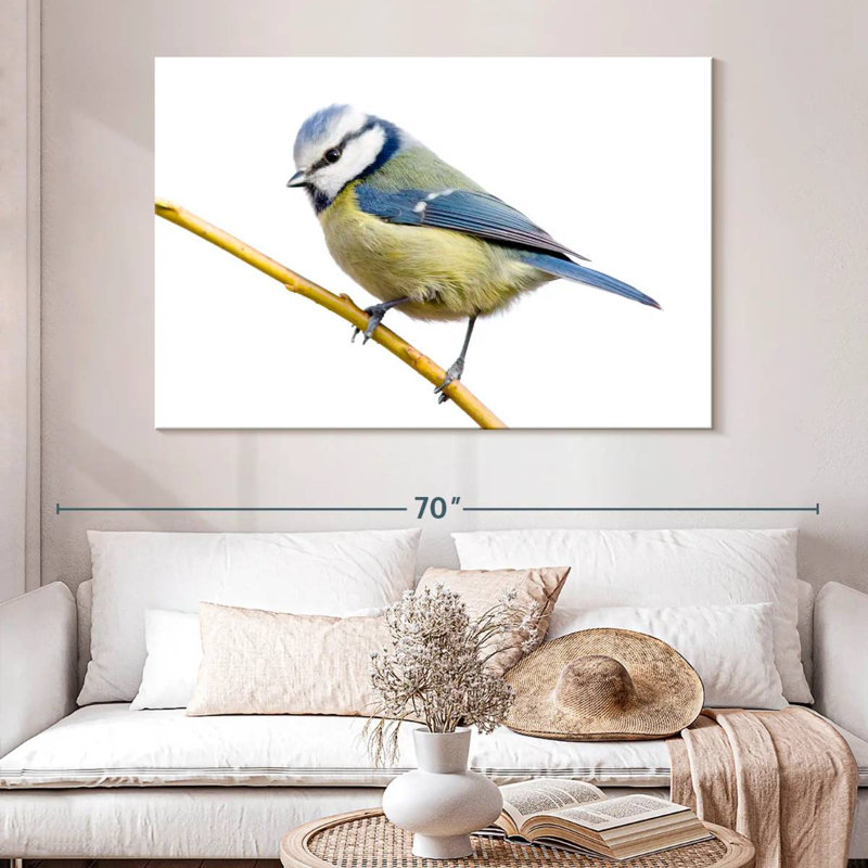 Feathery Blue Tit, H 34 po x l 51 po