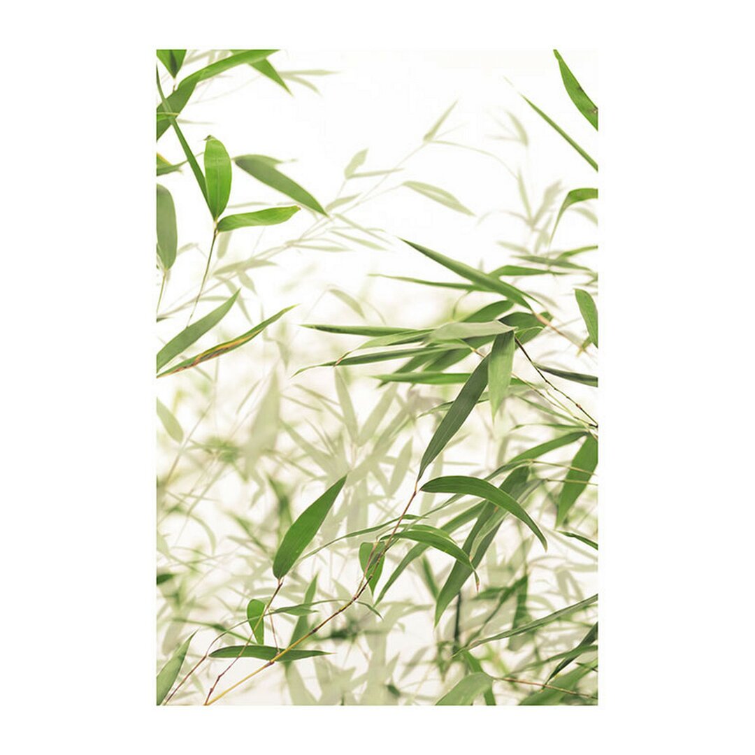 Poster Bamboo Leaves