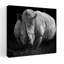 «Powerful Rhino Portrait», art mural contemporain-129007701