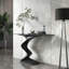 Console d'entrée minimaliste de luxe-107264738-107264751-107264749