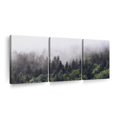 " Misty Pine Forest " 3 - Pieces