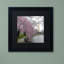 Washington fleurs, reproduction de photo encadrée-17770485-40361388