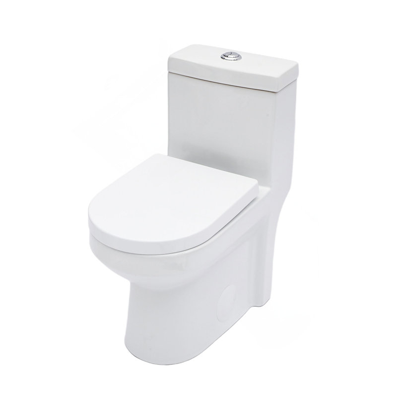 Toilette monobloc en céramique pour salle de bain, brute de 12 po, 1,1 / 1,6 GPF, double chasse avec siège à fermeture en douceur, double chasse puissante CARTE 800 g
