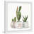 " Cactus Planters " by Parvez Taj Watercolor Print-1303860009