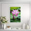 Purple Lotus Flower Bloom Print-24074690