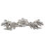 Carlotta Bar / Handle Pull-10365391