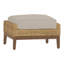 Peninsula Outdoor Ottoman with Cushion-223880228-223880322-223872152