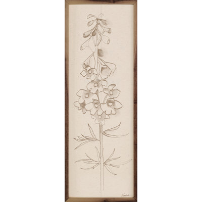 " Delphinium I Flower Stem By Shirley Novak " Print