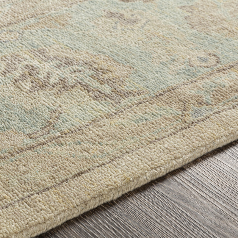 Daucourt Wool Oriental Area Rug, Rectangle 6' x 9'