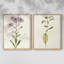 Mauve Garden Flowers III - reproduction encadrée de qualité supérieure - prête à être accrochée - aucun clou requis - aucun clou requis-1919174136
