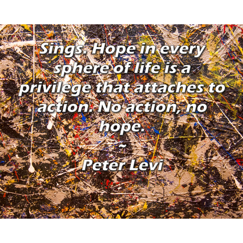 ArtsyQuotes Gallery Wrapped Canvas By Peter Levi: "Sings. Hope in every sphere of life is a privilege that attaches to action. No action, no hope."