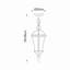 Goleta 1 - Light Black/Clear Single Pendant