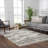 Espindola Shaggy Performance Tasseled Beige Area Rug-1753259219