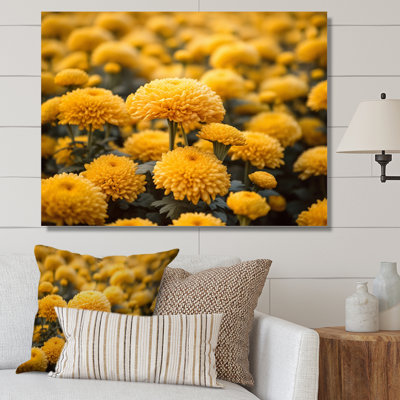 «Yellow Mums in Bloom II» sur toile