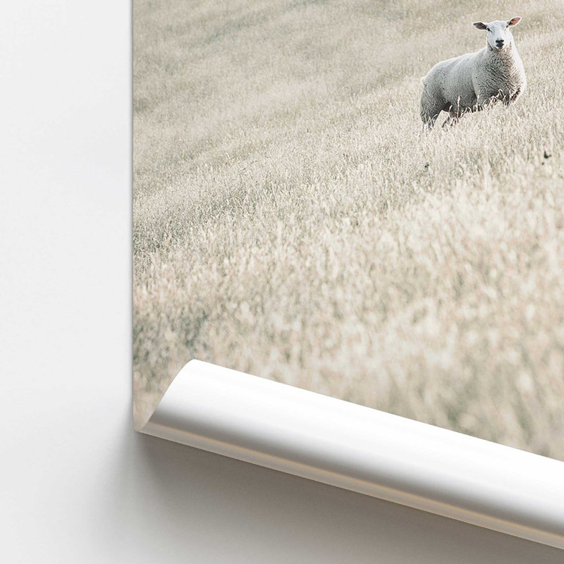 Serene Sheep Pasture, Papier, H 20 po x l 16 po x P 0,1 po