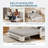Vergel 50.3'' Sleeper Sofa