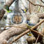 6 mangeoires d'oiseaux sauvages suspendues