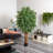 72'' Faux Ficus Tree in Pot