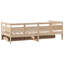 Rento Solid Wood-1778974077