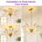 Ether 5-Light Glam Empire Chandelier with Crystal Accents Dimmable Adjustable Chain & Lamp Heads