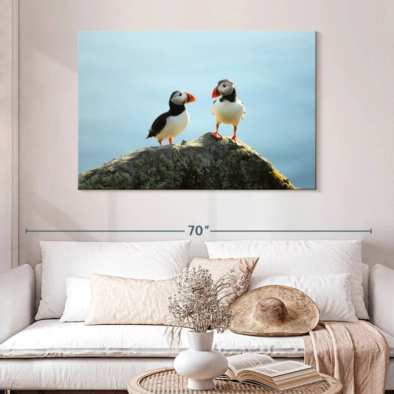 Brampt Puffin Birds