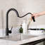 Trova Pull Down Single Handle Kitchen Faucet with Accessories-61695831