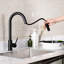 Trova Pull Down Single Handle Kitchen Faucet with Accessories-61695832
