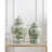 Green Willow Jar-129872105
