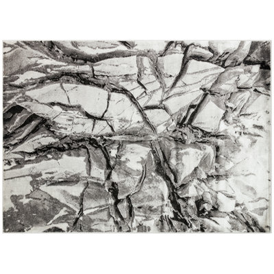 Rondon Abstract Area Rug